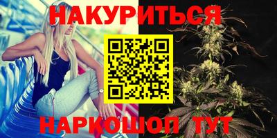 гидропоника Будённовск