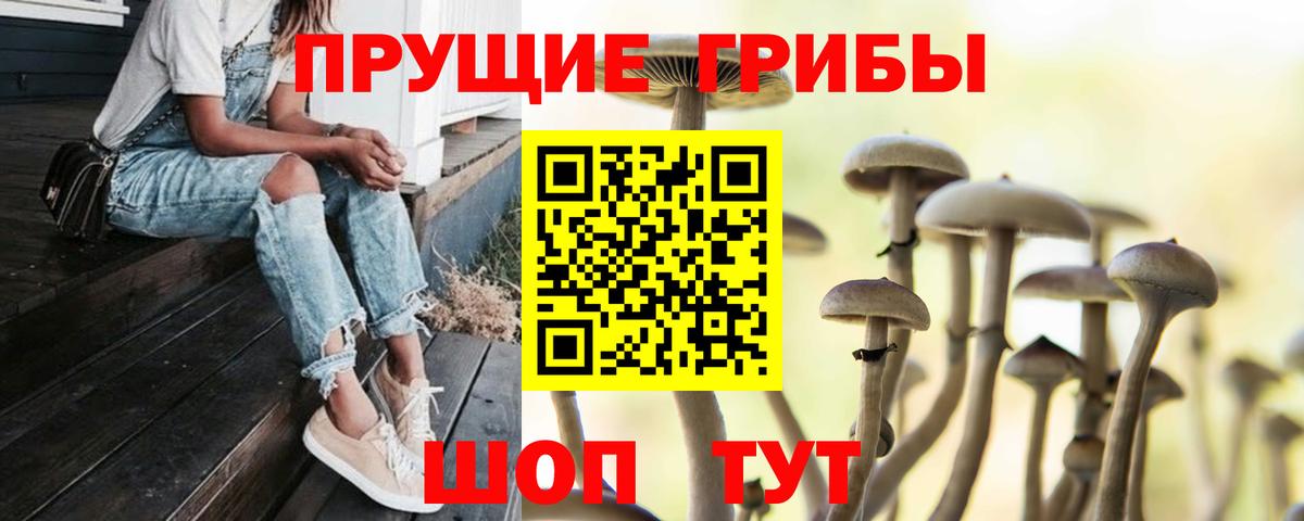 Псилоцибиновые грибы Magic Shrooms Бахчисарай